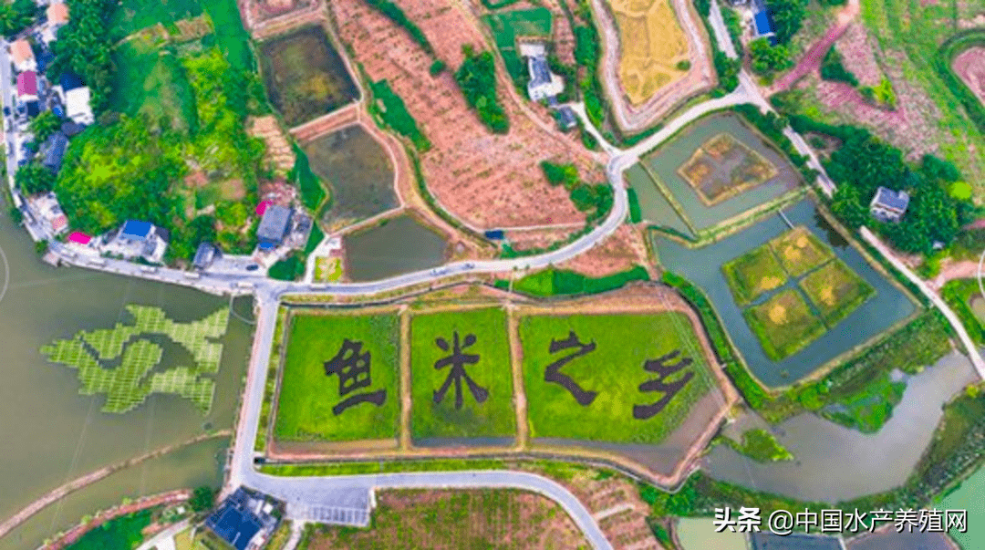 2020中国人均_中国人均寿命