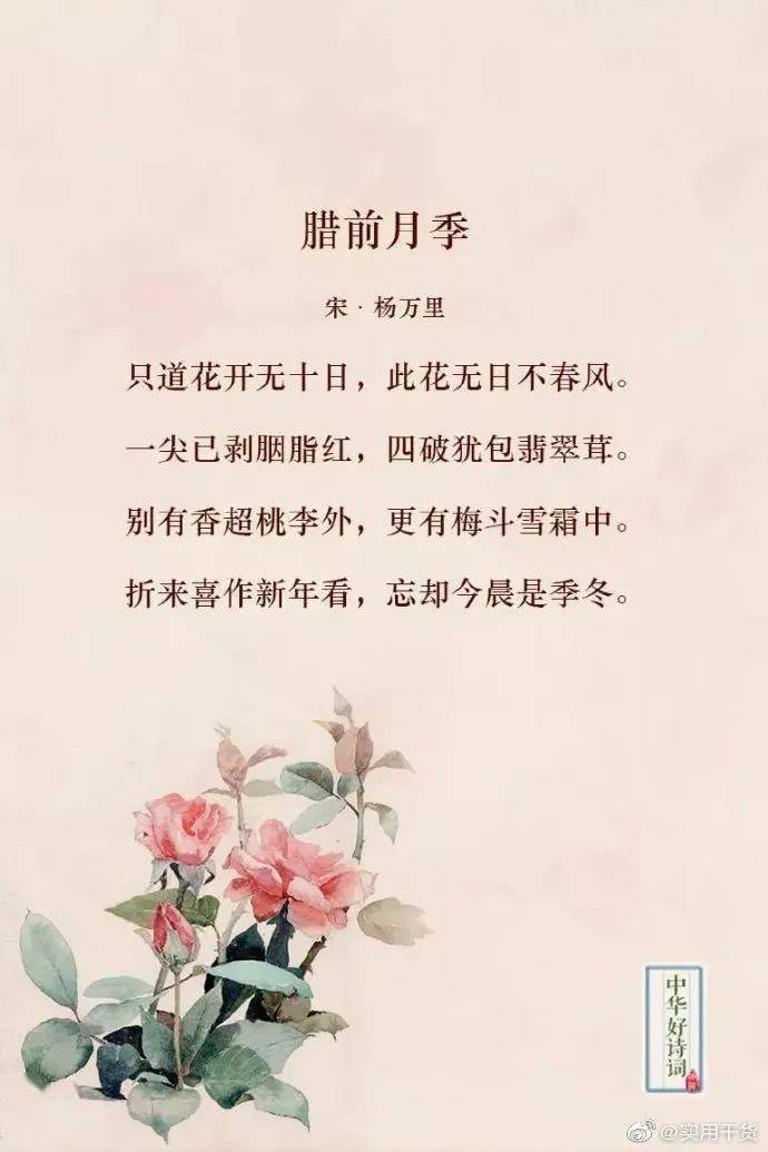 当十大名花邂逅好诗词,到处都是诗情画意