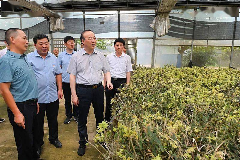 张祥安在望江县调研时强调加快推进产业培育大力整治人居环境推动乡村