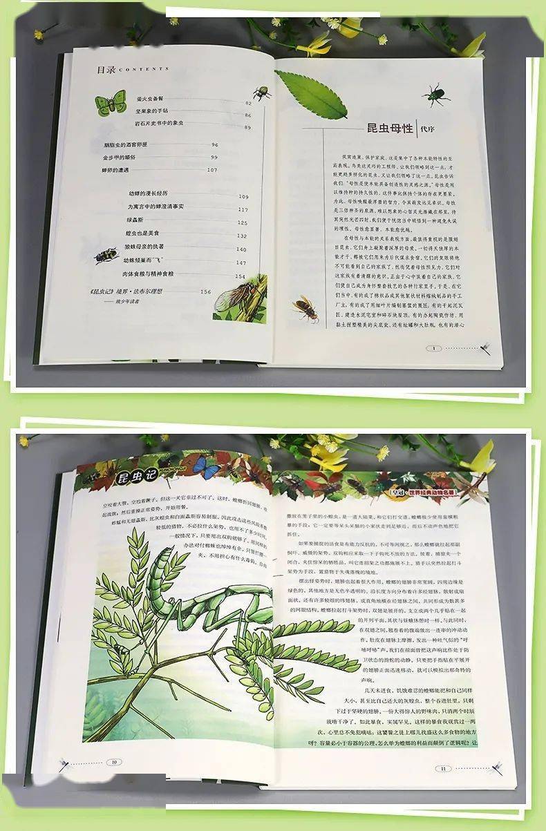 此書不僅詳細地記錄了法布爾一生的研究成果,更記載了法布爾痴迷昆蟲