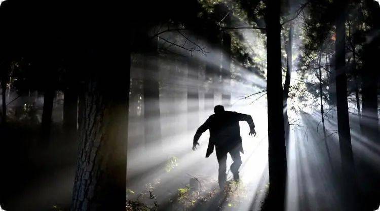 梦境交织，解析梦见亲人被杀与杀死他人的深层含义