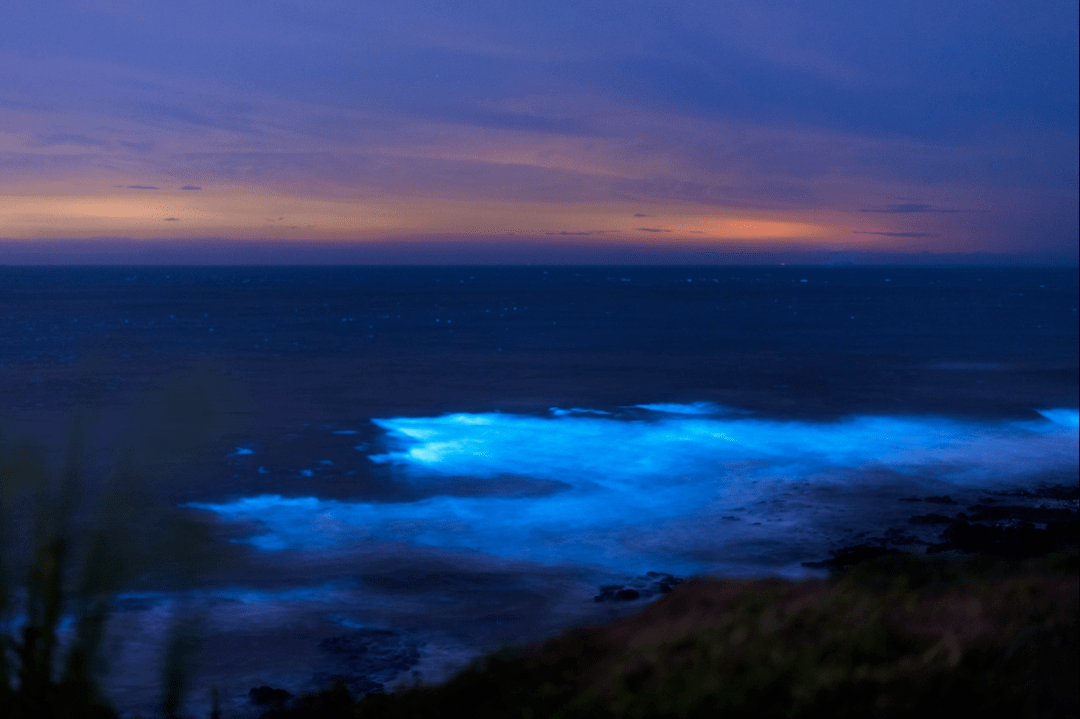东甲岛塘屿岛寻觅双岛梦之旅在马尔代夫追赶蓝眼泪