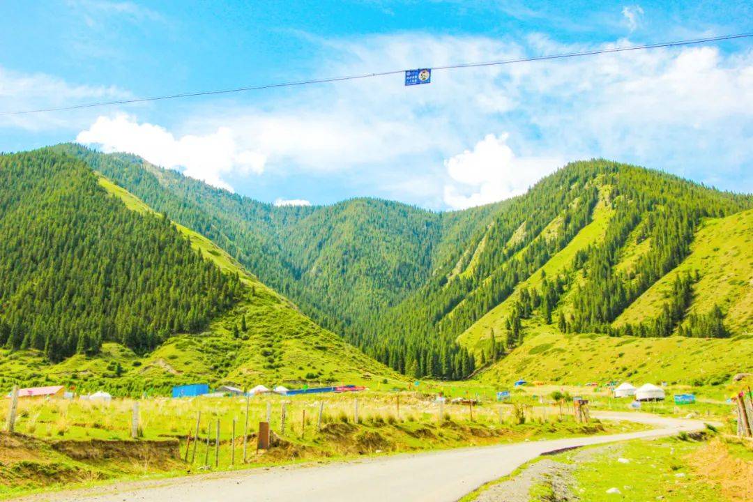 巴音阿门山林无声却道夏日长