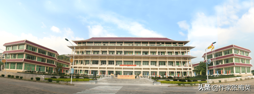 廣東東軟學院,順德職業技術學院,佛山職業技術學院,廣東職業技術學院