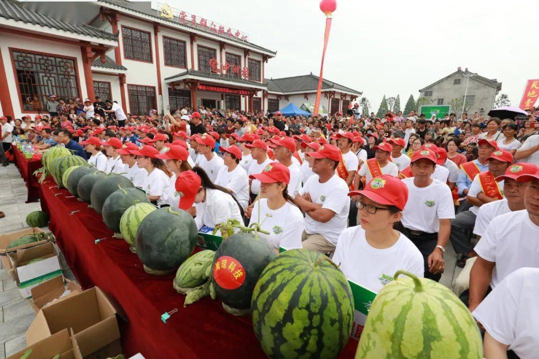八宝西瓜节6月26日瓜乡盛邀