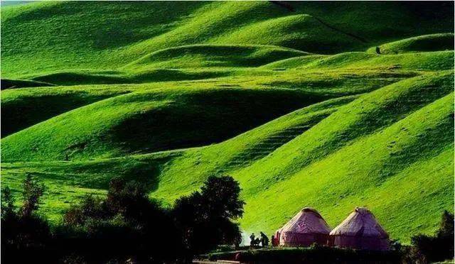 暑假来了,来内蒙古大草原策马奔腾吧!_呼和浩特