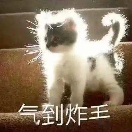 ac95ced1f71347d5bce04d4b836403f6.jpeg