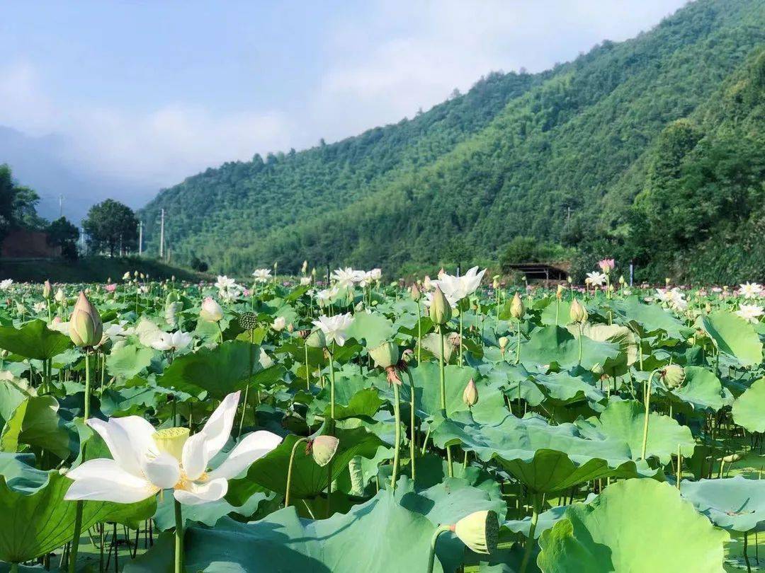 打开!2025年天天开彩免费资料-管家婆精准一肖一码免费资料_持续升温的社会问题;是否已经影响到你生活、最新作答落实解释