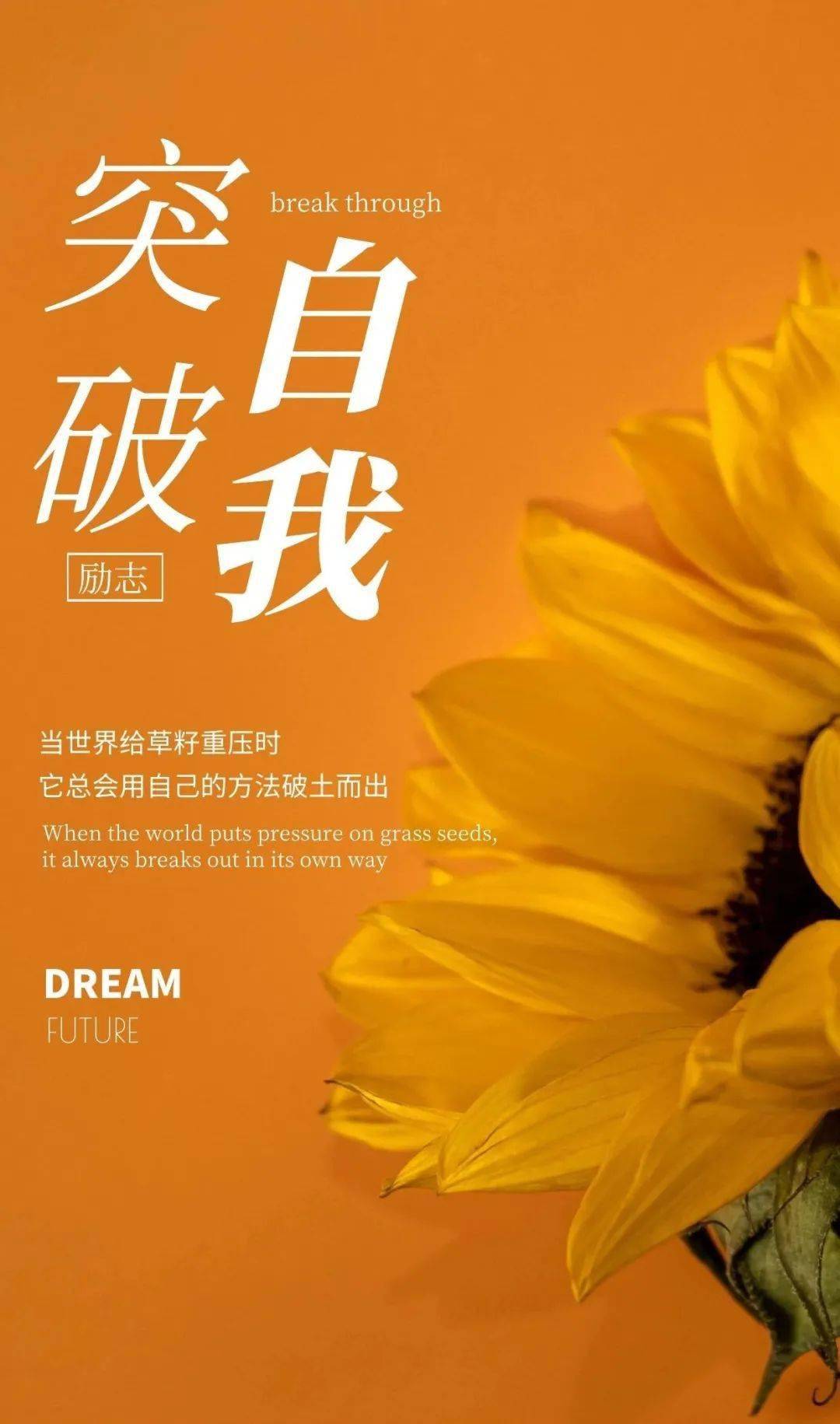 6月21日早安 | 新的一天,新的起点