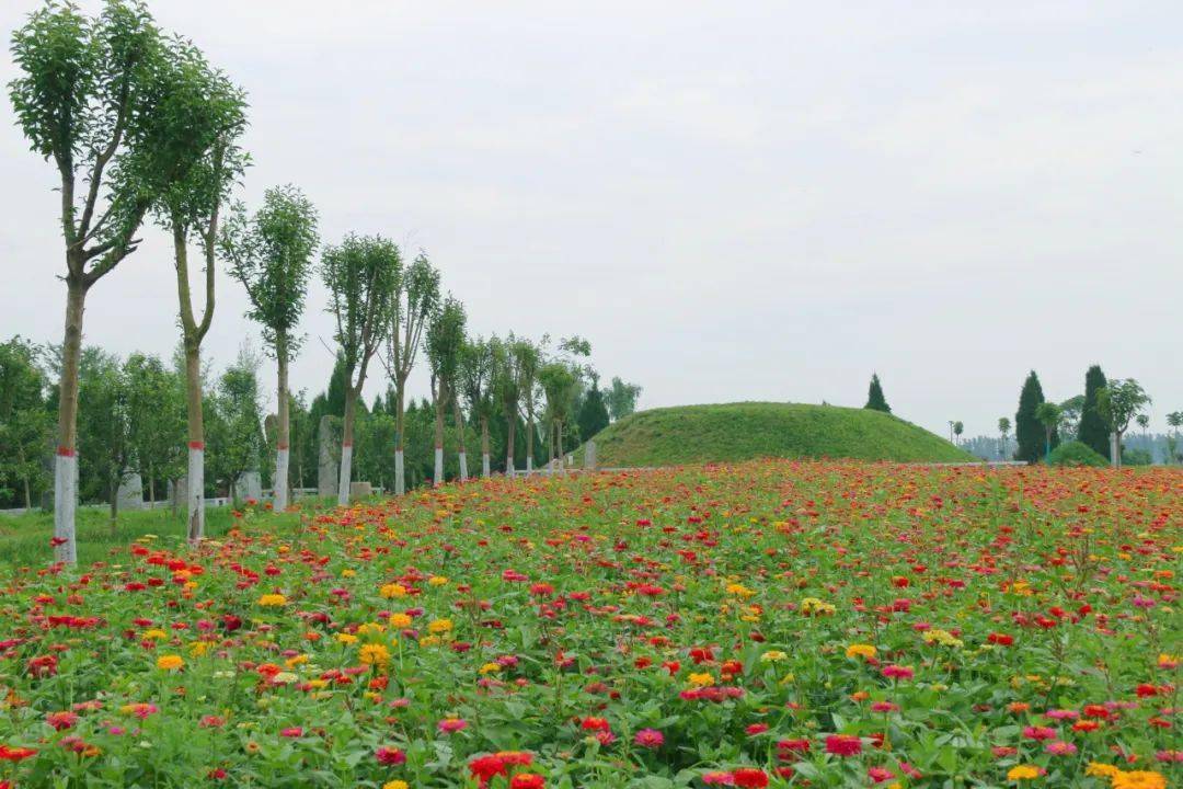 汝南梁祝公园刚拍的!漂亮吗?