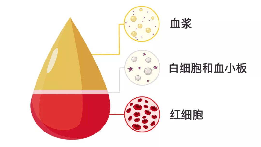 而成分獻血是指 藉助血細胞分離機 單獨採集某一種血液成分的過程