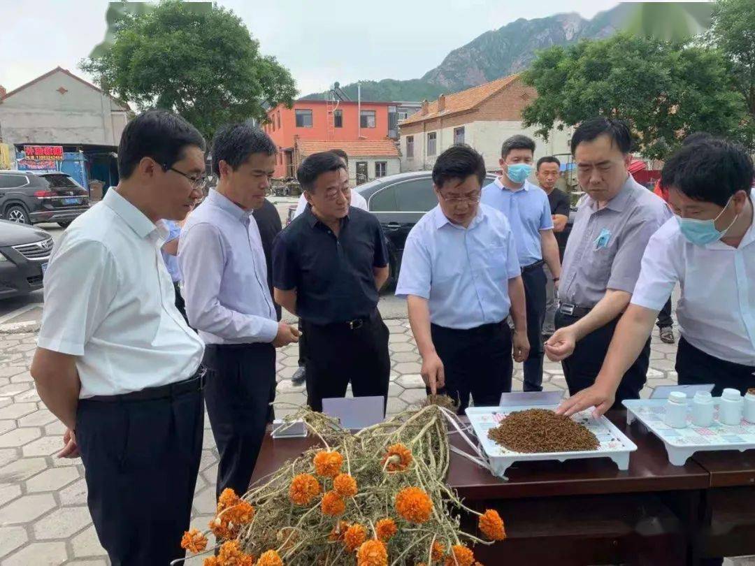 省人大常委会农业结构调整联动监督调研督导组到我市调研督导_承德市