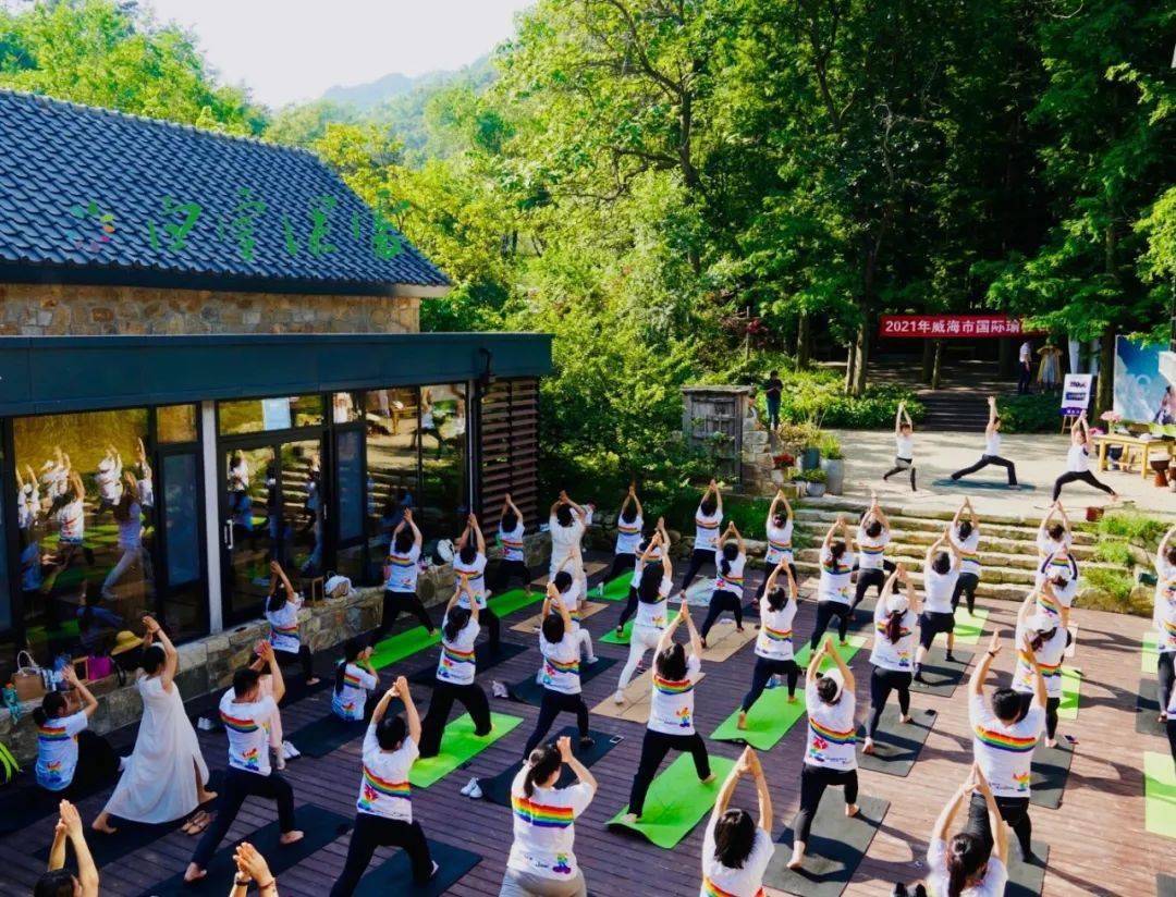 2021威海瑜伽节 | 瑜悦森心 伽倍美丽_森林