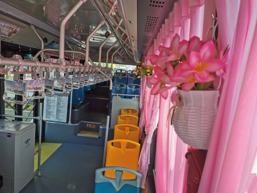 菏泽这辆公交火了粉色窗帘绢花
