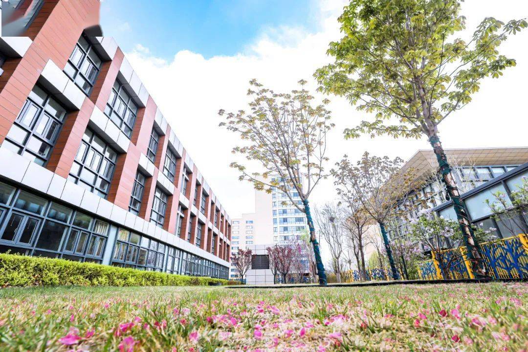 清华附中稻香湖幼儿园2021年招生简章发布