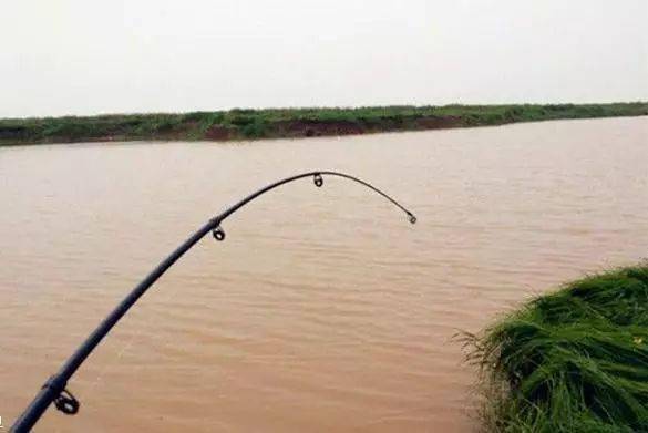 海竿底钓下层鱼的诀窍