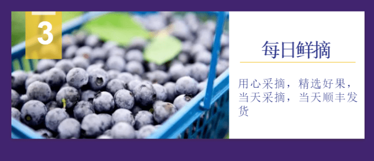 6a9547ac32cb4b1fa4cd23726d37956a.png