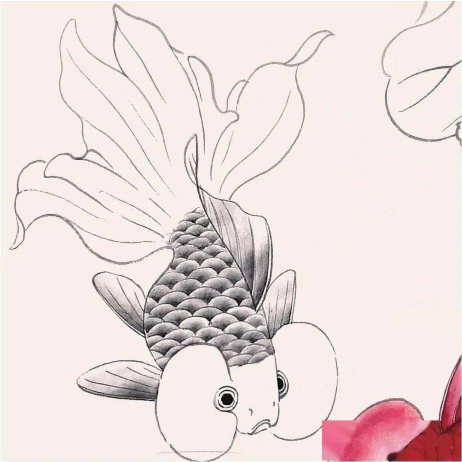工笔金鱼画法步骤