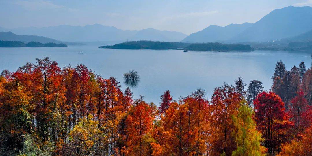 黄山1号风景道图片