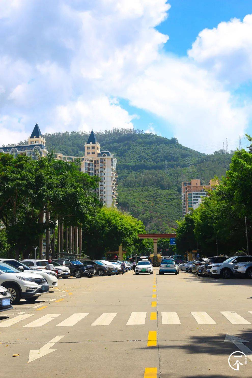 深圳的世外桃源,居然藏在这?_桃源村