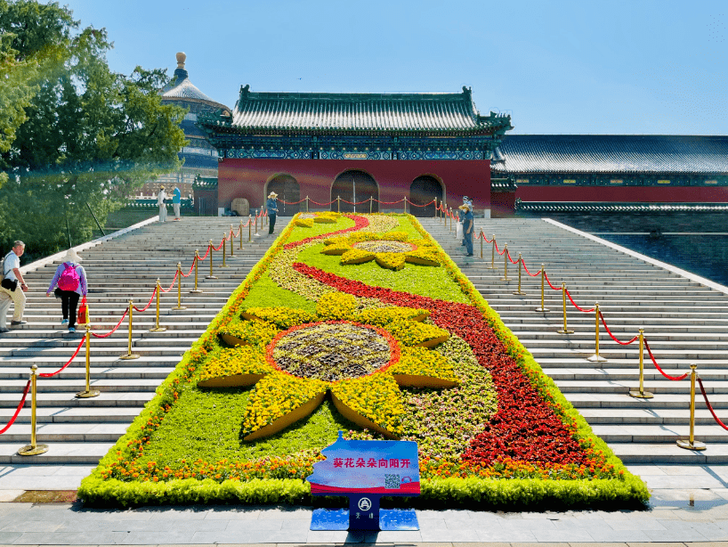 先睹为快 市属公园21组主题花坛亮相 看看都在哪儿 祝福