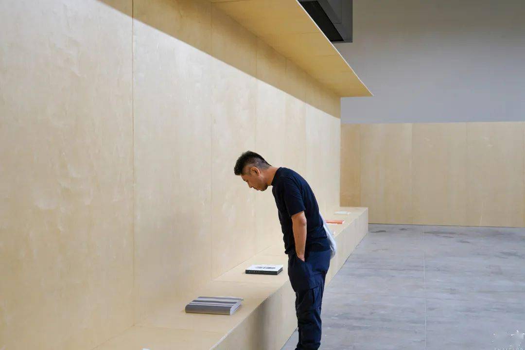 访谈坪山美术馆九层塔系列展专题访谈之马岩松空虚的浪漫