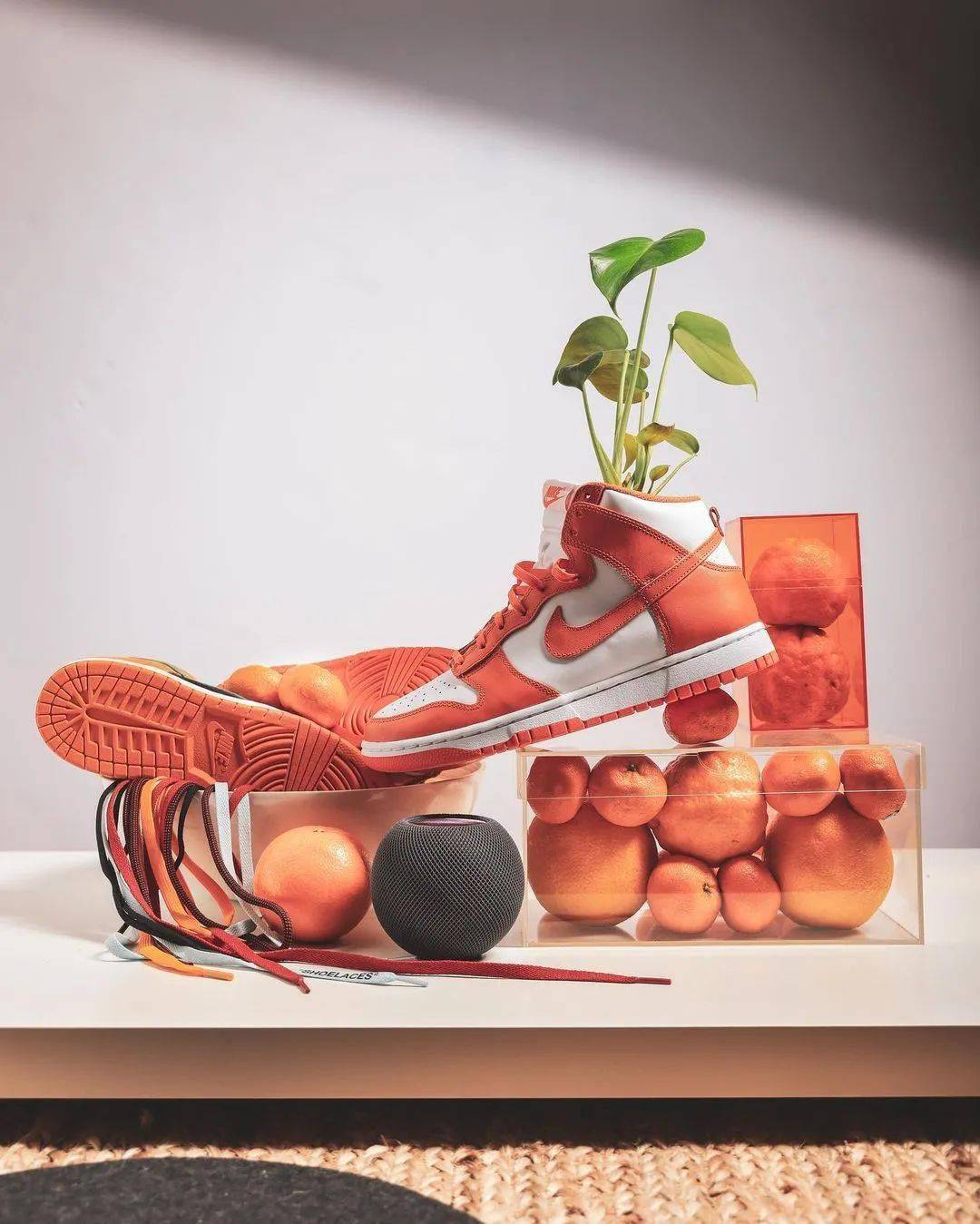 obsession@allikestore@cejimenez@fenom@kickz93@sgo8@tebar@thomasr