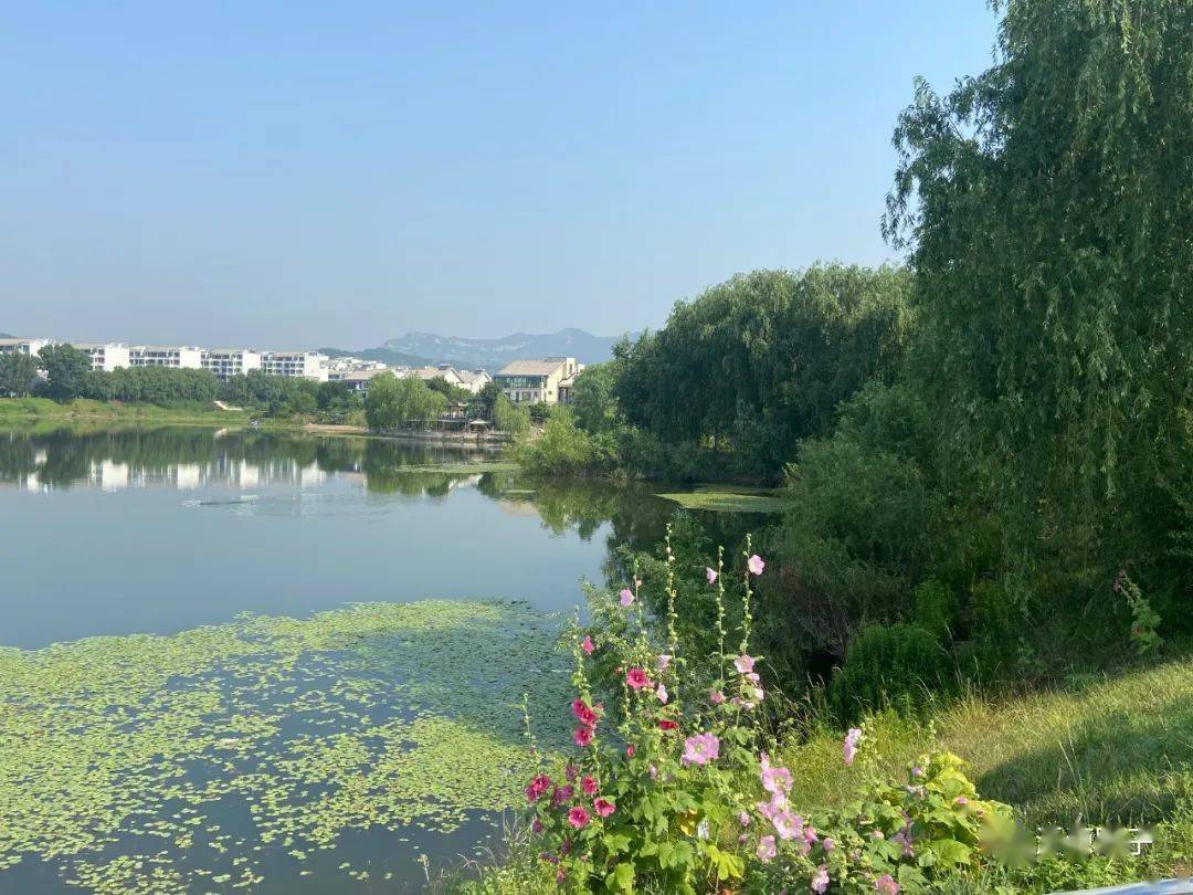 西沙沟水库藏在小区里的好地方