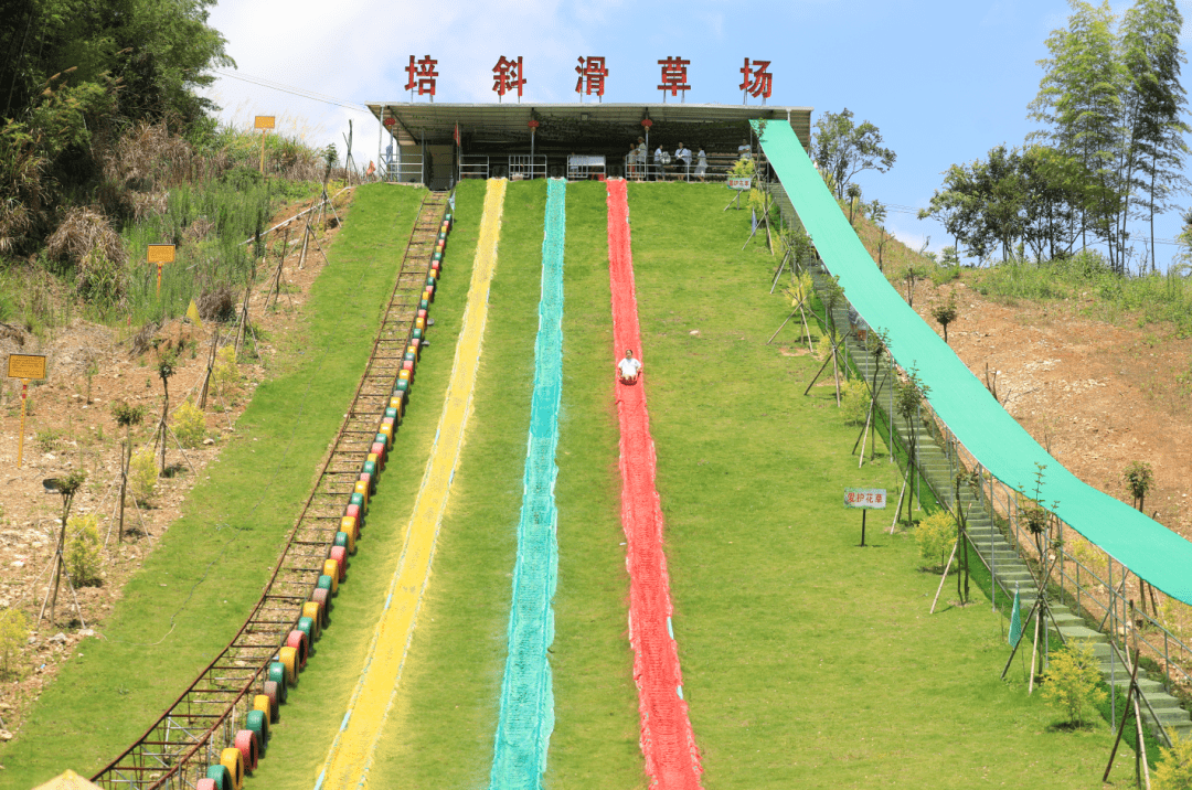 百村支书话振兴|新罗培斜:让乡村振兴跑出"加速度"_新罗区