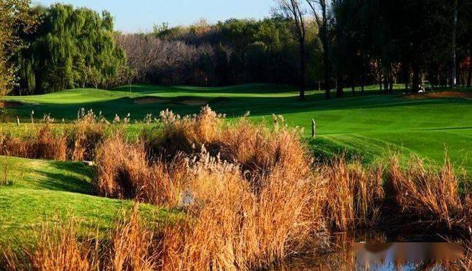 金色河畔高尔夫夏季特惠