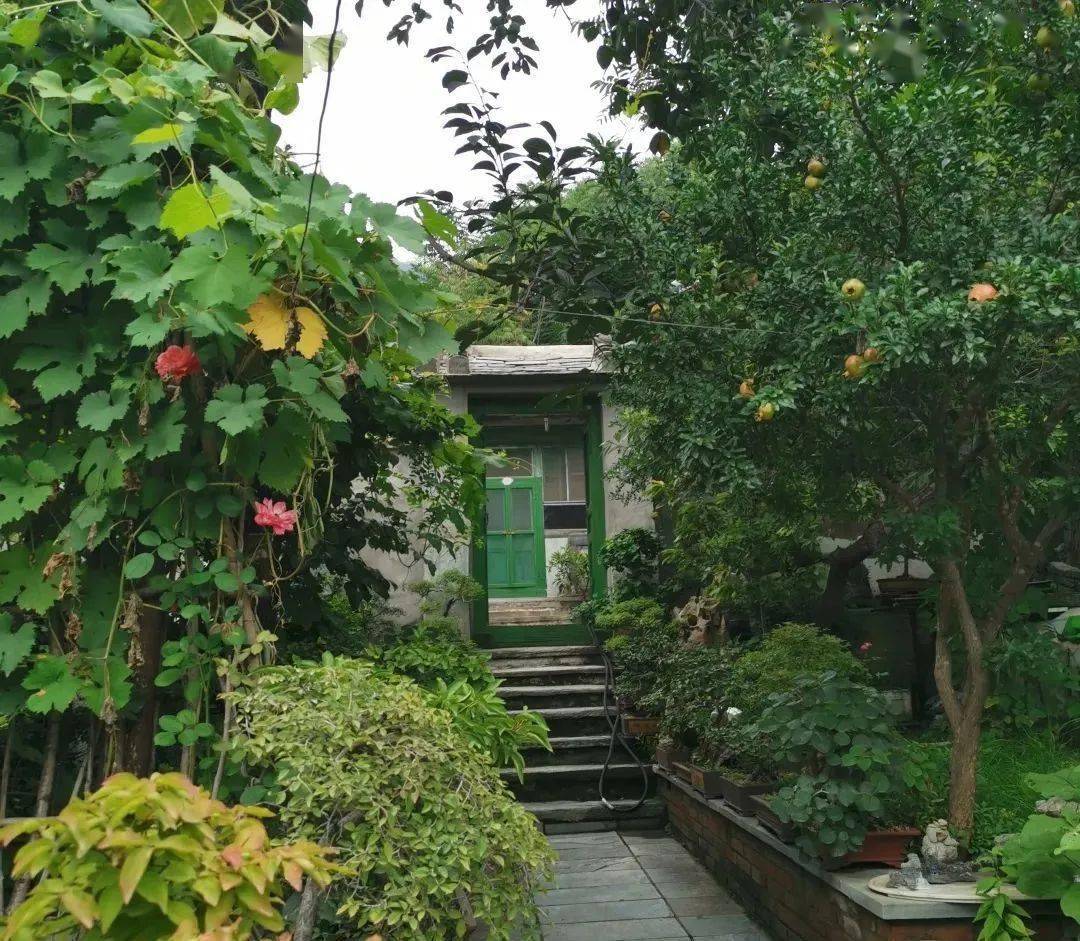 "美丽庭院 幸福人家"随手拍邀您参与_作品