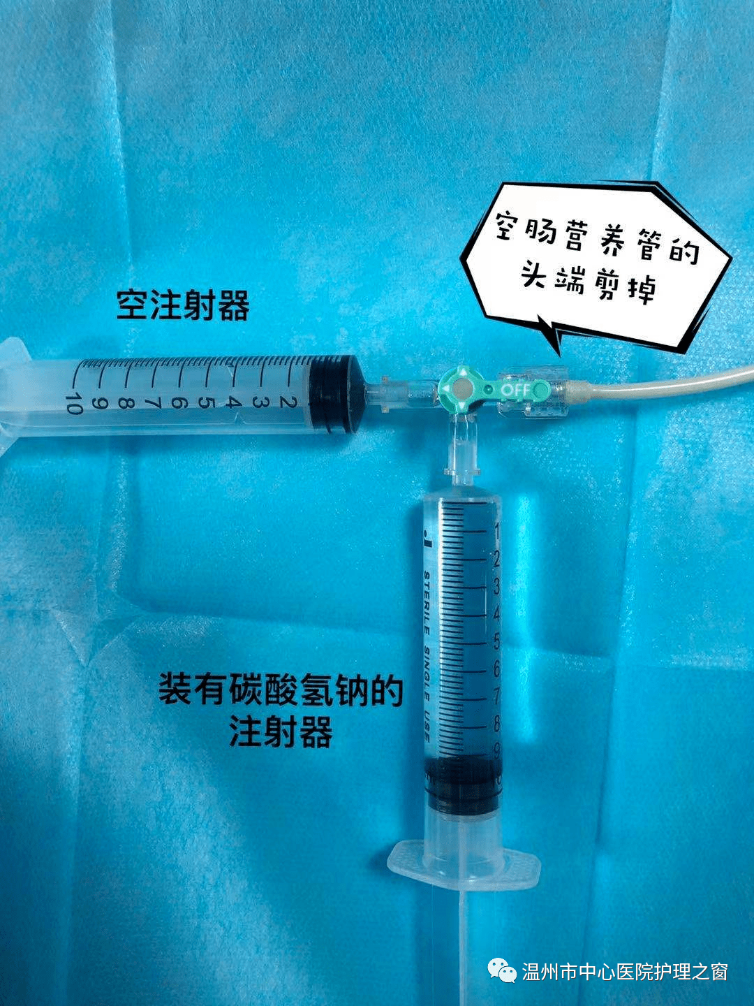 液囊空肠管图片