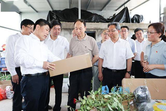 新河镇双荡村党群服务中心,宿迁电子商务产业园区,宿豫区曹集乡双河里