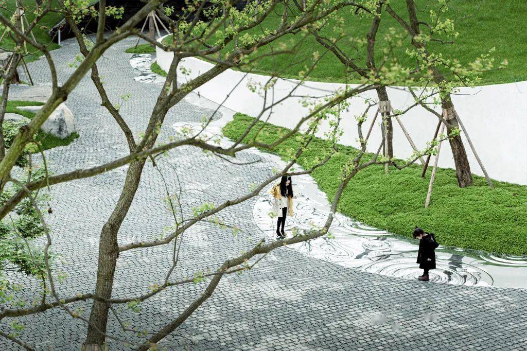 乌桕树多少年 b766ba2a473543a288eb73362bf689d4.jpeg