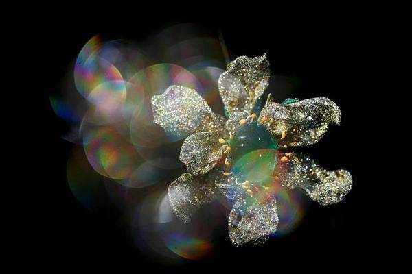 �߽���Щ�鱦���չ,����һ���貵�ʱ��֮��