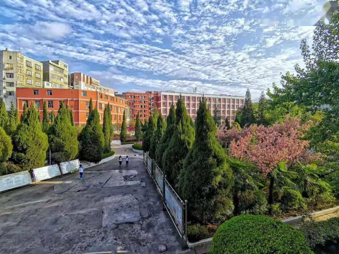 镇雄实验中学再创佳绩一本上线51人二本上线256人