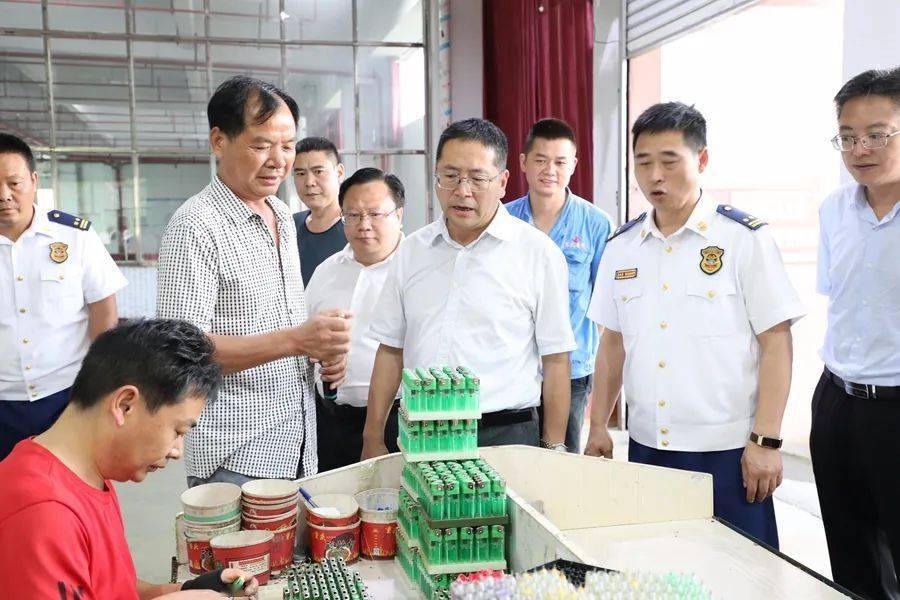 市委常委,常务副市长钟汰勇到大龙开展巡河和督导安全生产工作