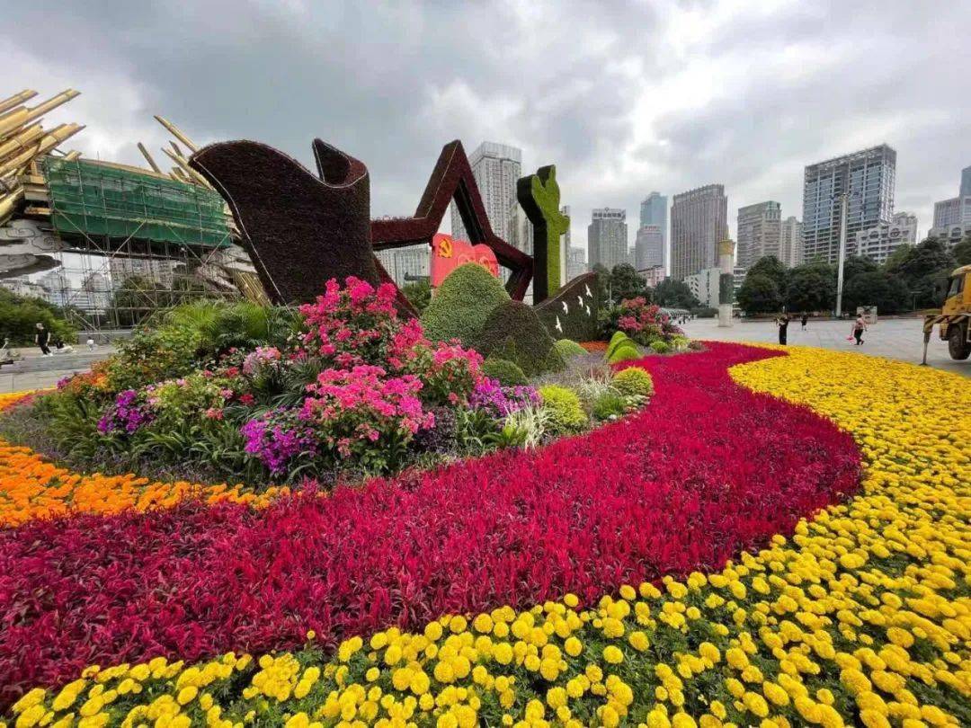 贵阳120万株花卉惊艳亮相_景观