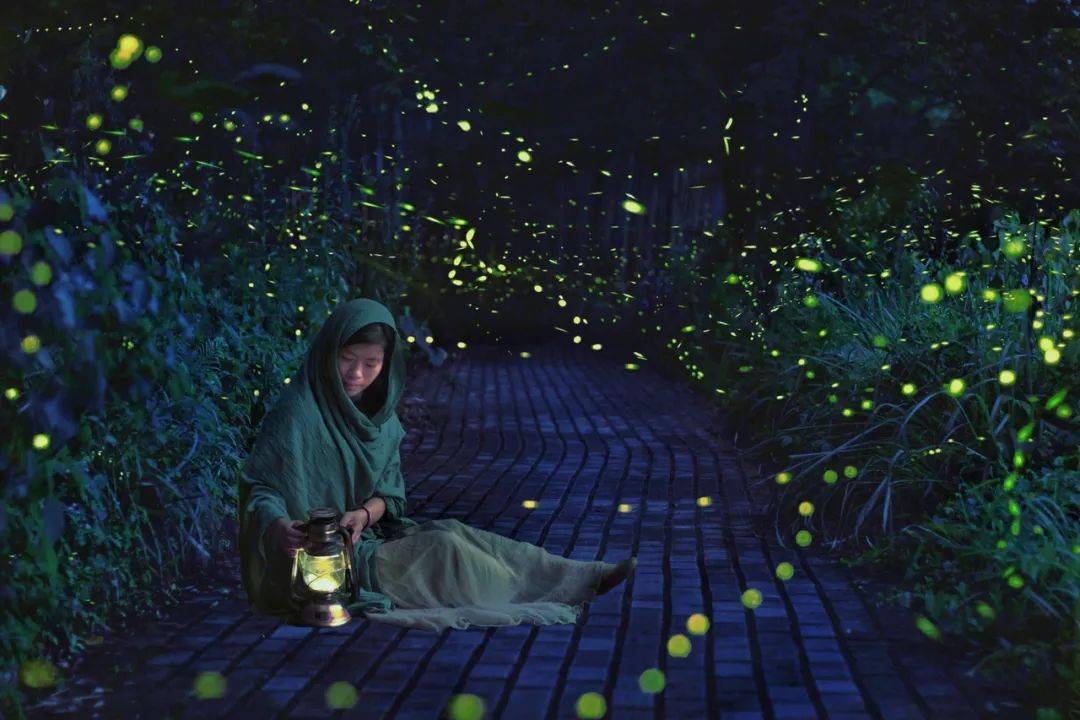 有萤火的夏夜叫一水间