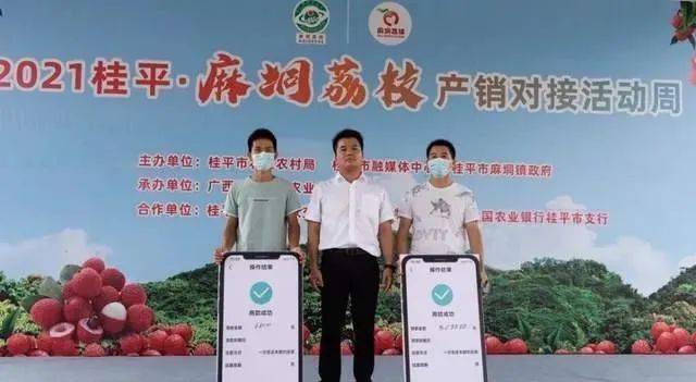 赞桂平副市长直播卖荔枝2个小时卖了8万多斤