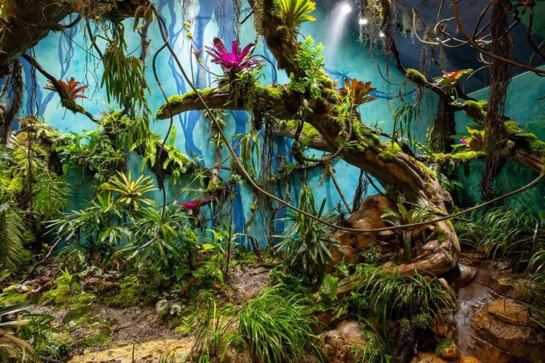 这里可以带着孩子探索奇幻的雨林世界,观赏200多种珍奇海洋生物,看