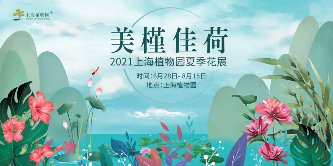 上海夏季花展 上新 花烛和睡莲邀你共赴一场夏季之约 观赏植物