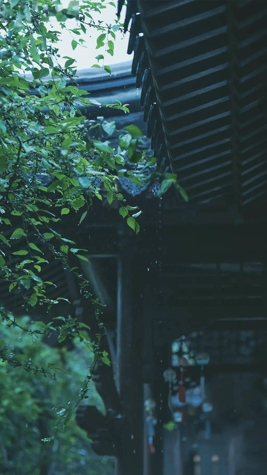 听琴枕上诗书闲处好门前风景雨来佳