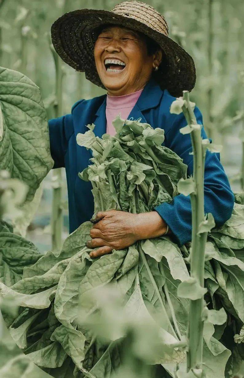 只有中国人能在任何地方种菜