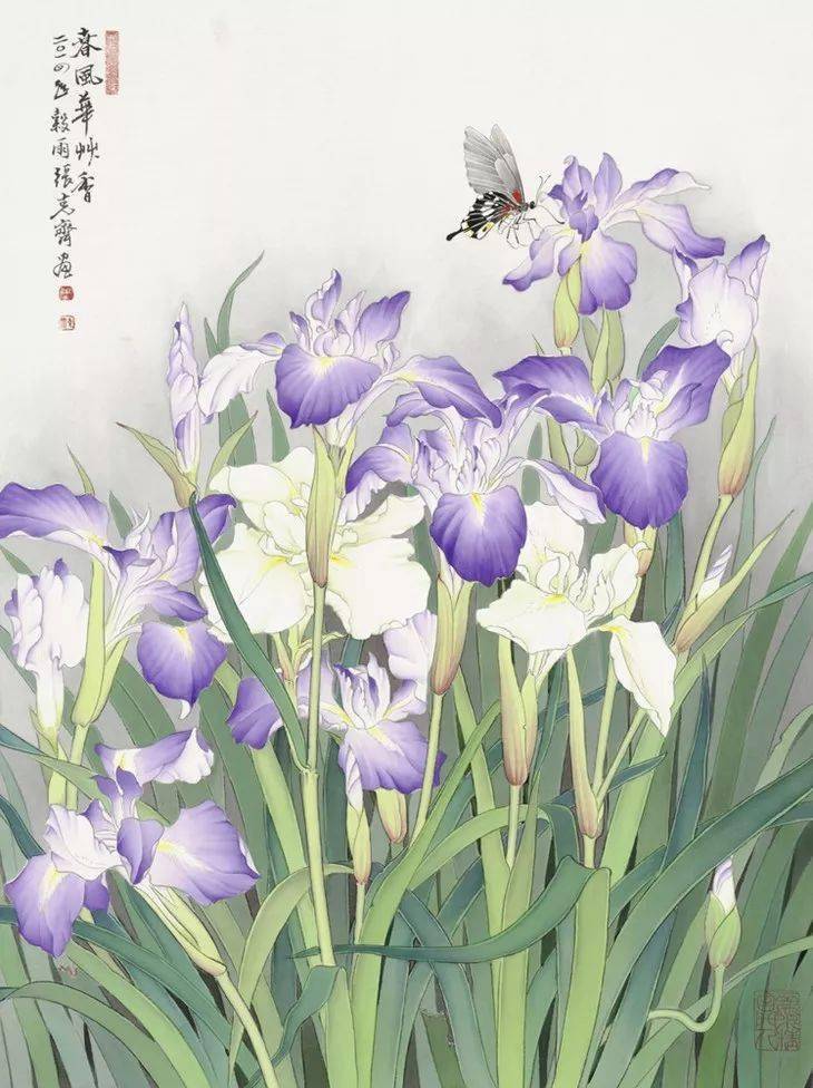 台湾大师张克齐笔下的花鸟妙趣横生笔笔生动