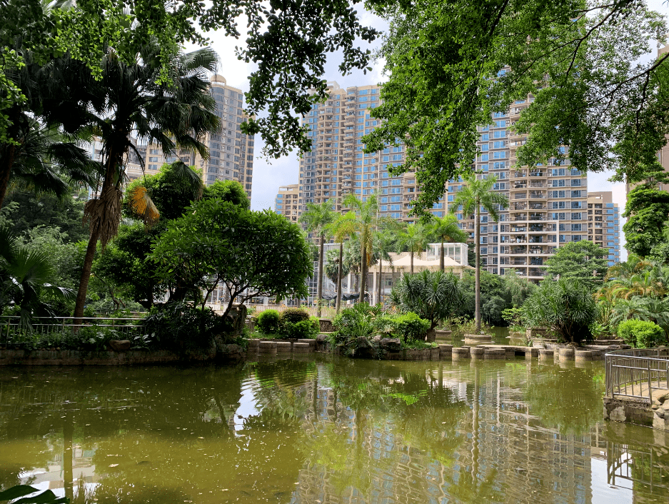 黄埔花园小区环境