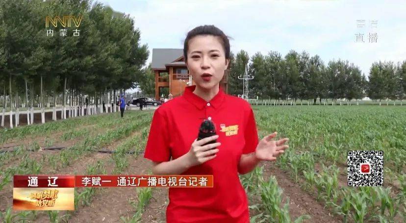 内蒙古台记者8815邓凯帝 乌海台记者8815广懋 内蒙古台记者
