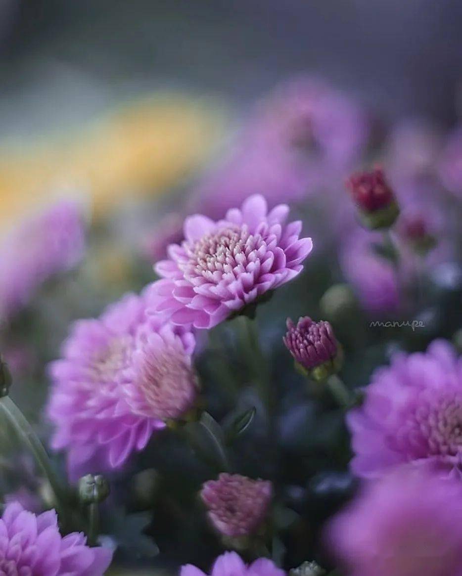 暗区突围开挂的软件透视物资