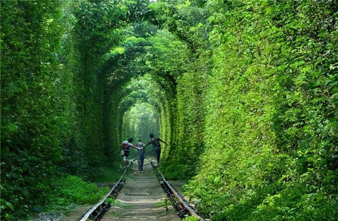 南京江宁的爱情隧道美爆了