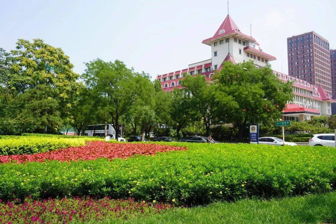 庆祝建党百年 花卉景观扮靓石景山